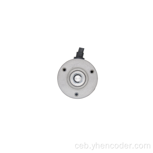 Flexible Encoder Coupling Encoder